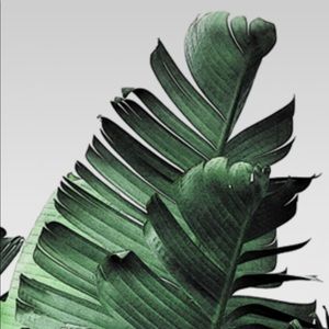 Meet your Posher, Omar